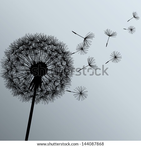 Flower dandelion black on gray background Vector illustration Flower dandelion black on gray background Vector illustration