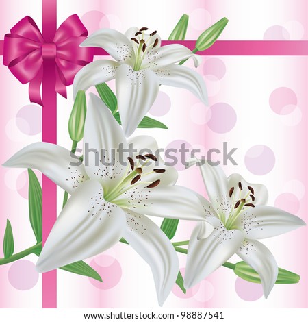 Greeting or invitation card with flower white lily and bow, vector illustration
