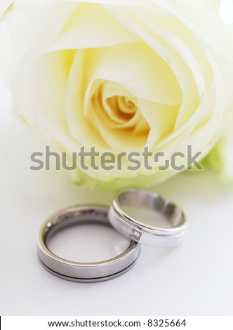 stock photo wedding rings and white rose