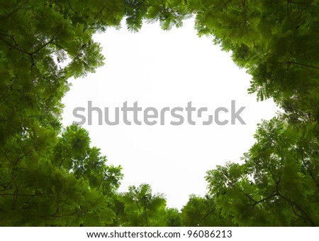 Frame from green leafs isolated on white background with space for text.