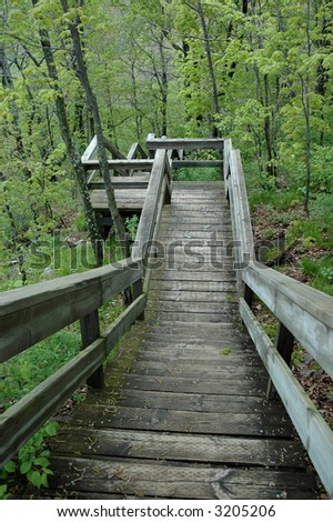 Stairs descending in the woods