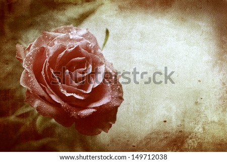 Vintage styled rose. art
