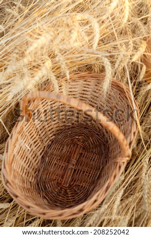 empty basket in field of wheat