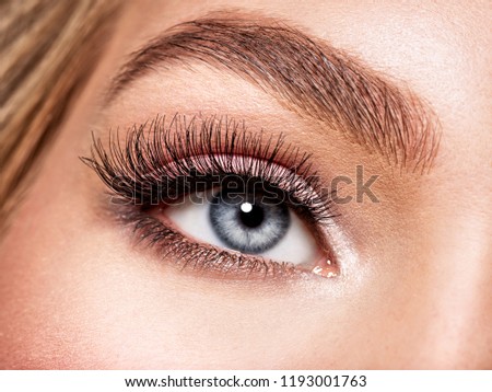 Macro Shot of Young  Woman\'s Beautiful Eye. Elegance CloseUp of Female Eye with Classic MakeUp. Beauty, Cosmetics and Makeup. Brown Eyeshadow on Eyelid