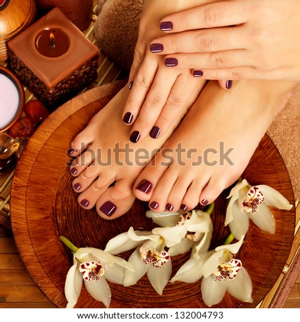 Closeup Photo Of A Female Feet At Spa Salon On Pedicure Procedure. Female Legs In Water Decoration The Flowers.