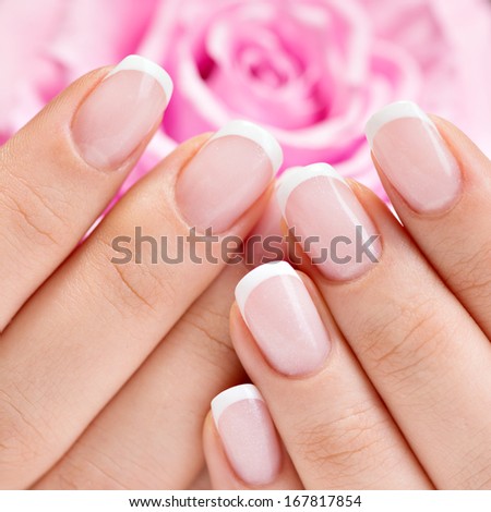 Beautiful woman\'s nails with beautiful french manicure  and pink rose