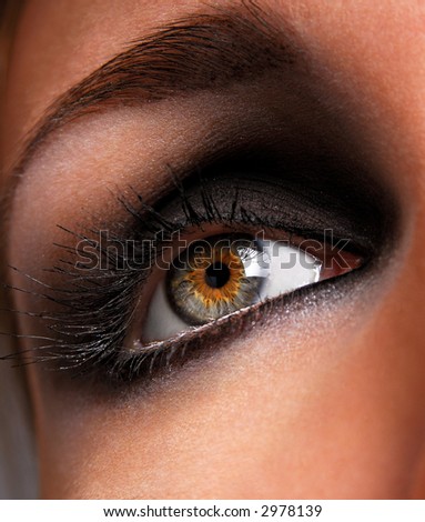 stock photo : beautiful make up and brown eyeshadow of eye