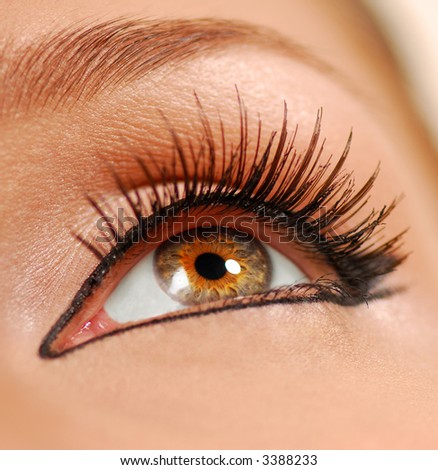Human female eye. False lashes. Liner.