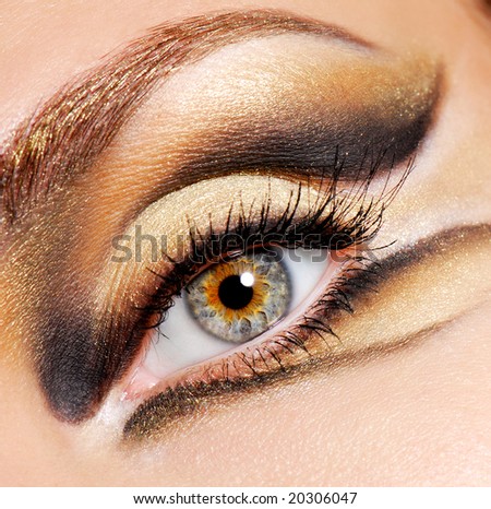 Photo  on Photo   Human Eye Of Woman With Modern And Stylish Colored Eye Make Up