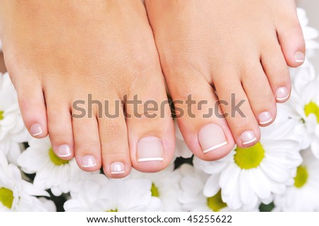 Beautiful well-groomed female feet with the French pedicure and flowers on background