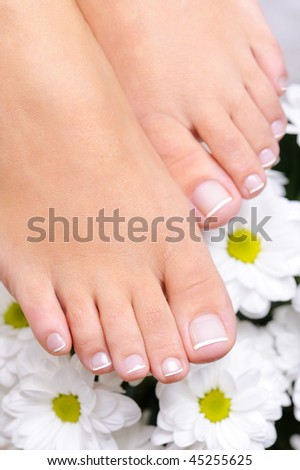 Well-groomed female feet with the French pedicure and flowers