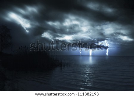 night storm/reeds at midnight/storm over the gulf in the night