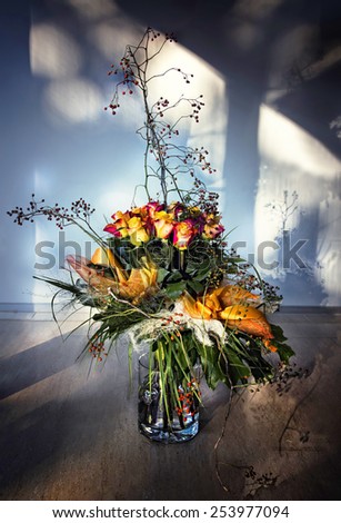flowers/flowers and shadows/flowers in vase