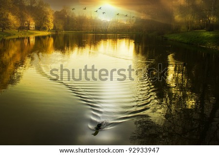 sunset/sundown/late summer evening on the lake located at City Park Lodz,Poland