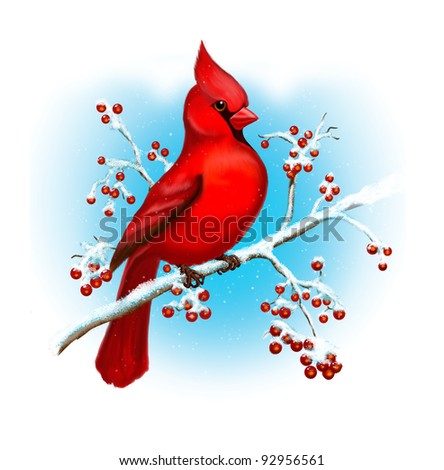 Cardinal Bird Winter Art