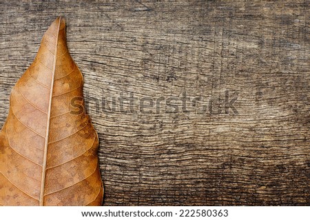 end of the dry leaves on the side on the old wooden background