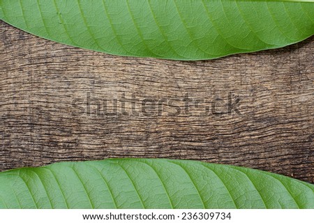 green leaves on the top and bottom in the background wood texture for themes