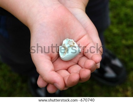 child\'s hands holding hatched birds egg shell