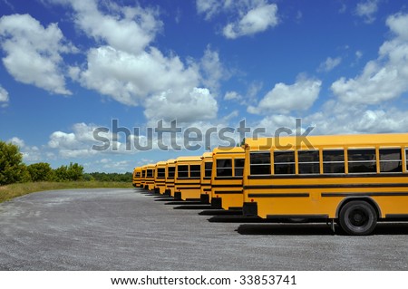 School buses in a row