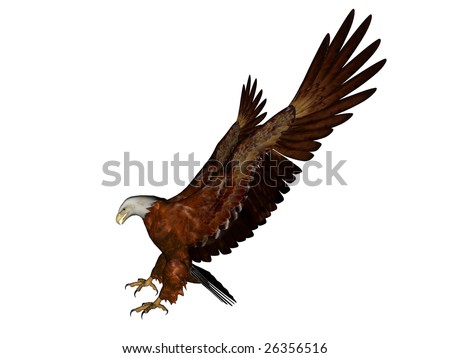 bald eagle tattoo. stock photo : ald eagle