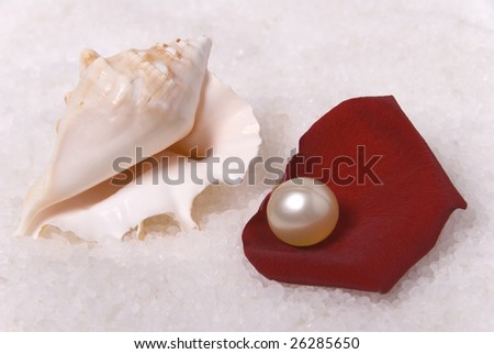 Oil pearl, rose-petal, salt and mussel