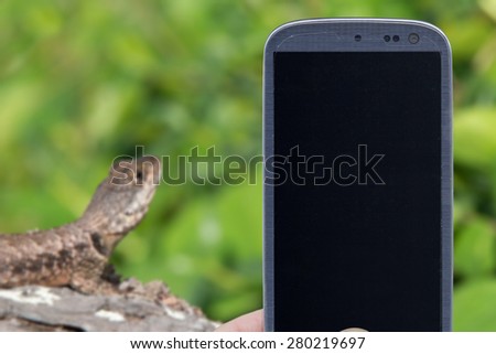 Smatrphone and repitile life. Idea of animal apps, taking shots, repitiles blogs and others. The blur image is a reptile on tree. Neotropical ground lizard in Maragogi, Alagoas, Brazil.