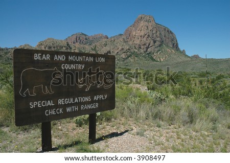 A bear and mountain lion warning sign in Big Bend National Park.