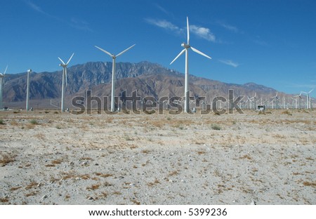 A large wind farm helps to power southern California.