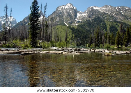 Clear body of water in Grand Teton National Park.