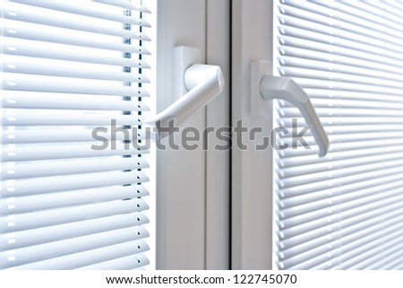 blinds on the windows