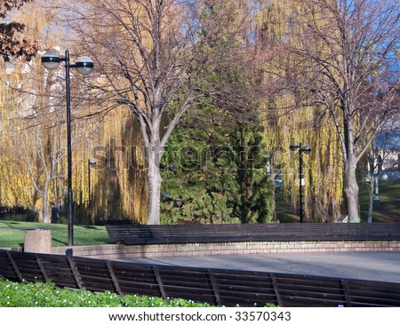 Row of park benches in a meeting plaza surrounded by trees in late autumn or early winter
