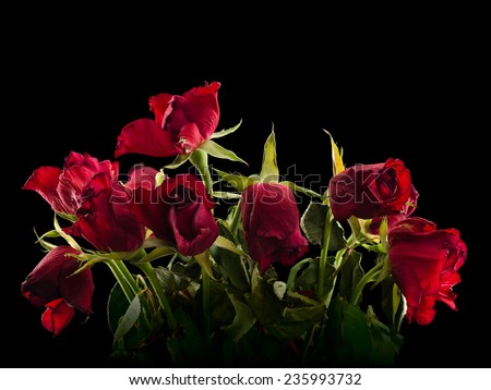Bouquet from faded scarlet roses on a black background