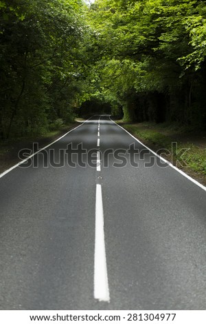 Portrait view of an empty country lane with white line markings surrounded by forest trees