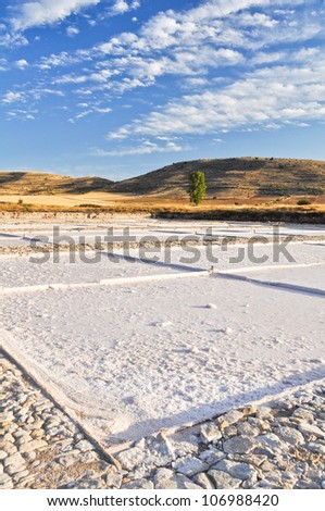 Salt Flat Of Imon, Guadalajara (Spain)
