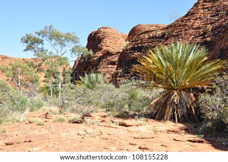 Oasis at Kings canyon, Northern Territory, Australia