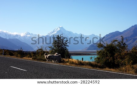 Mount Cook in New Zealand on a blue day