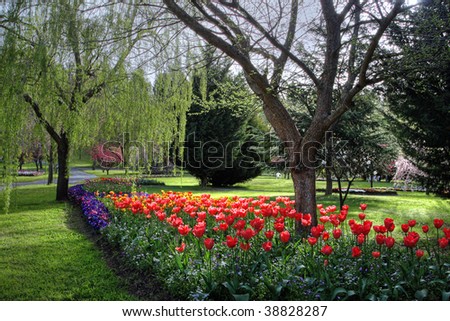 Springtime Park