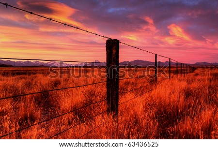 lonely country road landscape in vibrant colors
