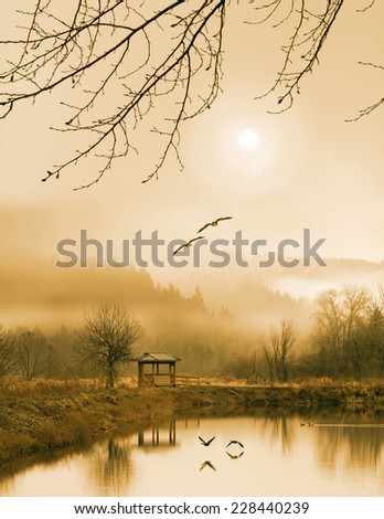 Foggy lake and three couple of birds