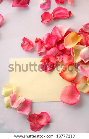 Wedding white envelope in petals of roses