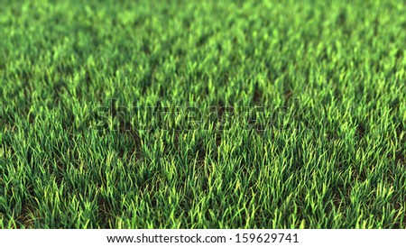 Closeup of grass field. Fresh green grass with strong blur Great for ecology background.
