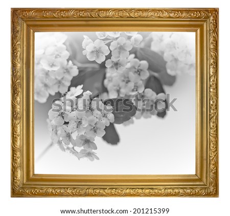 Black and white picture of a gray tone colors in golden frame