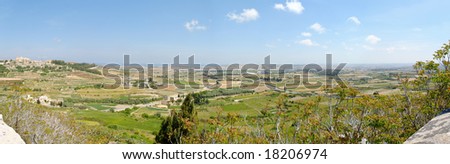 150 degree panorama of Maltese countryside with foreground vegetation.