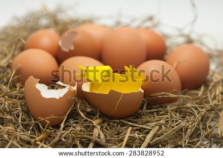 hatched egg with baby paper chick