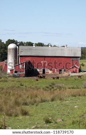 A farm with red barn and grain silo and cows grazing in the field.