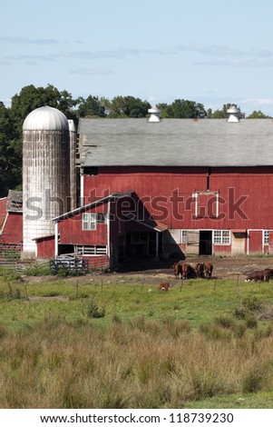 A farm with red barn and grain silo and cows grazing in the field.