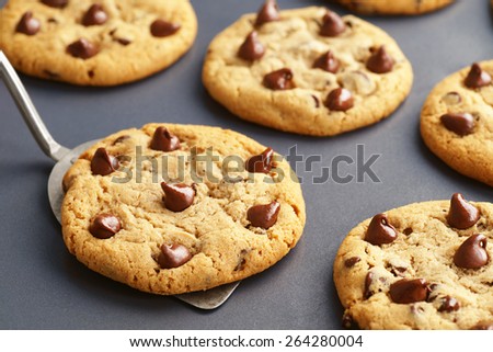 Just Baked Chocolate Chip Cookies Being Removed From Pan