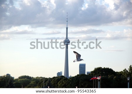 TORONTO - AUGUST 27: The CN Tower seen from Toronto Island on August 27, 2011 in Toronto. The CN Tower was completed in 1976 and is the world\'s tallest free standing structure standing 553.33 meters.
