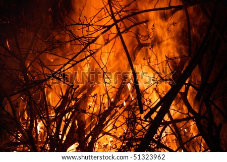 Fire In Jungle