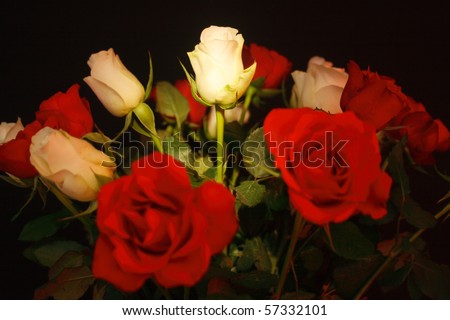 White rose in a funeral bouquet of roses with black background